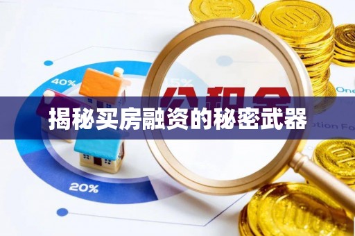 天祝揭秘买房融资的秘密武器
