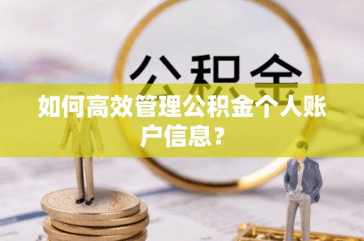天祝如何高效管理公积金个人账户信息？