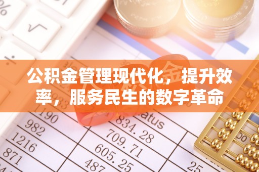 天祝公积金管理现代化，提升效率，服务民生的数字革命